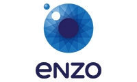 Enzo - agencja marketingowa